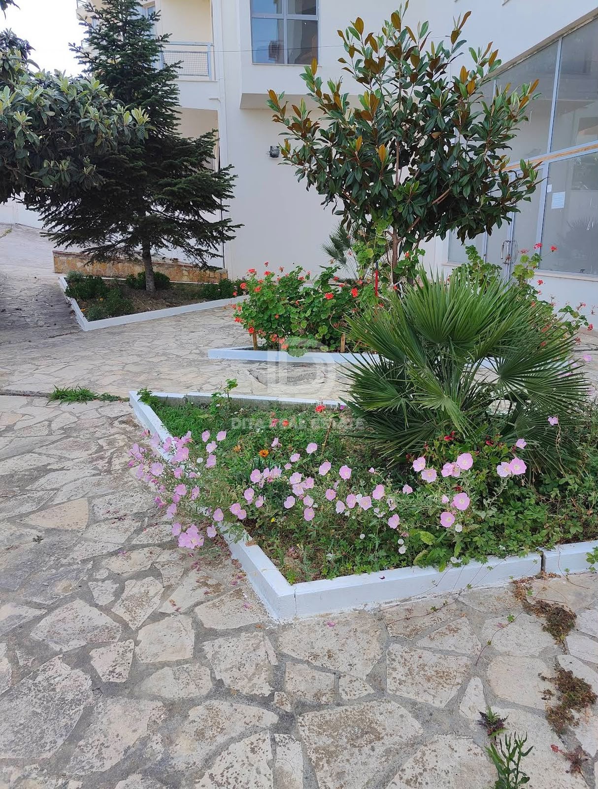 SHITET GARAZHD 23 M2 SHKEMB KAVAJE 15000 EURO